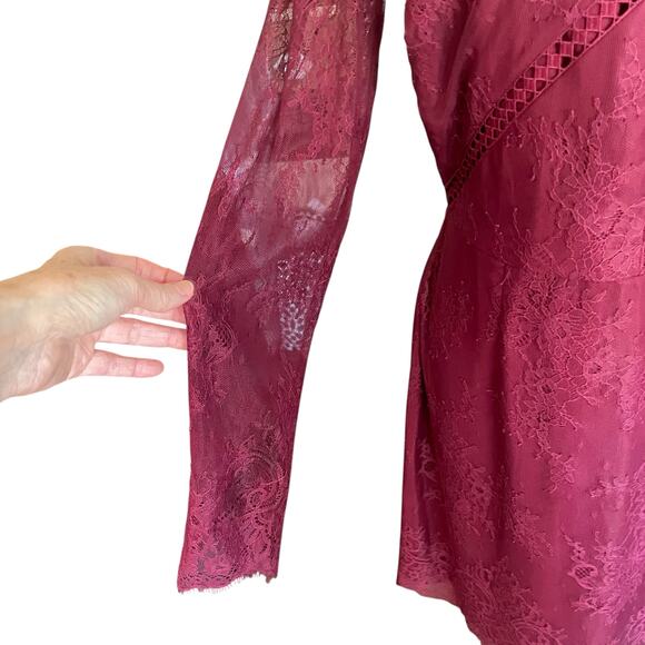 Greylin Burgundy Shirley Lace Sheath Dress LARGE Whimsygoth Dark Fairy Prom - Picture 9 of 14